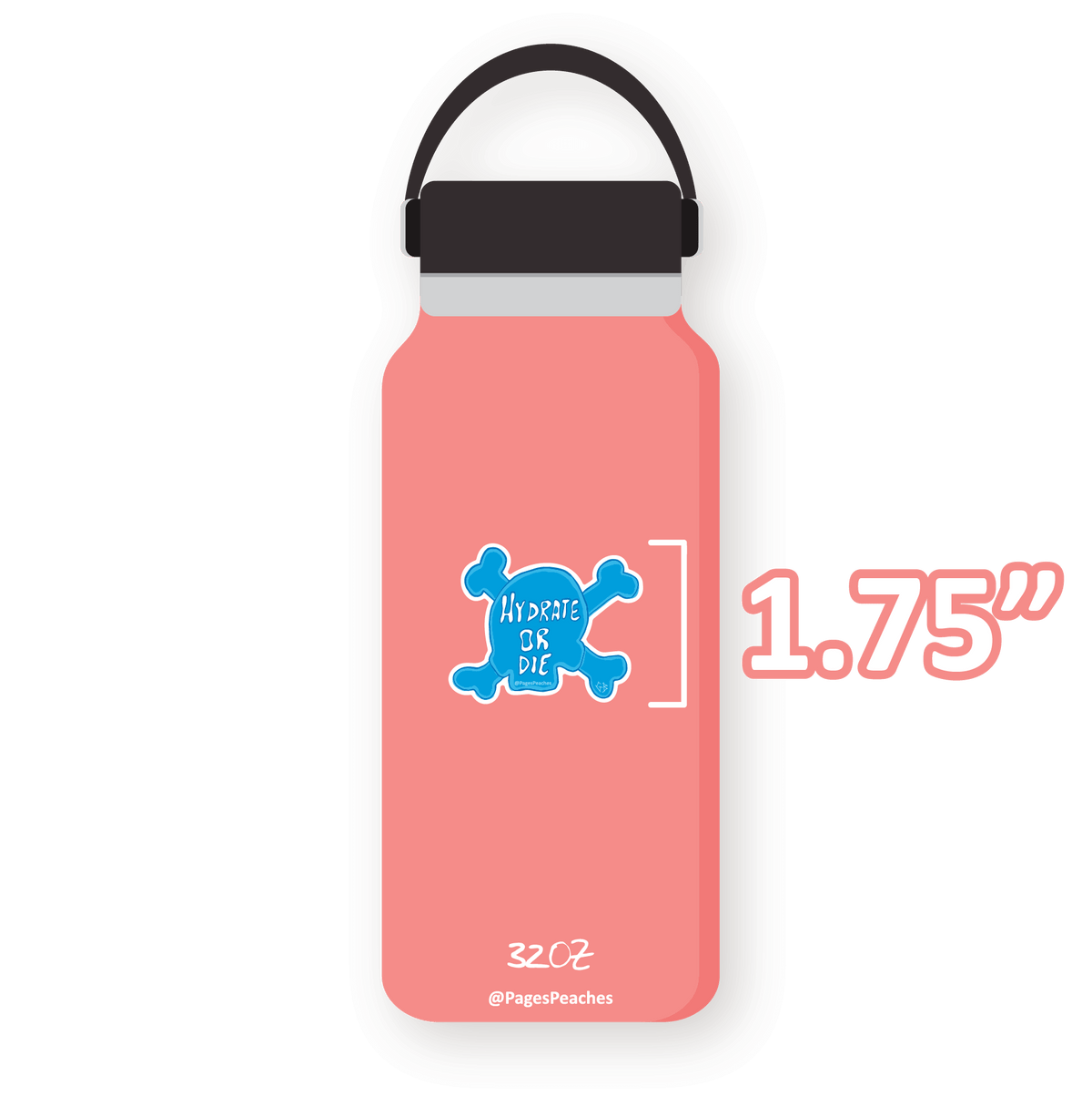 Hydrate or Die Sticker (Case Pack x6)