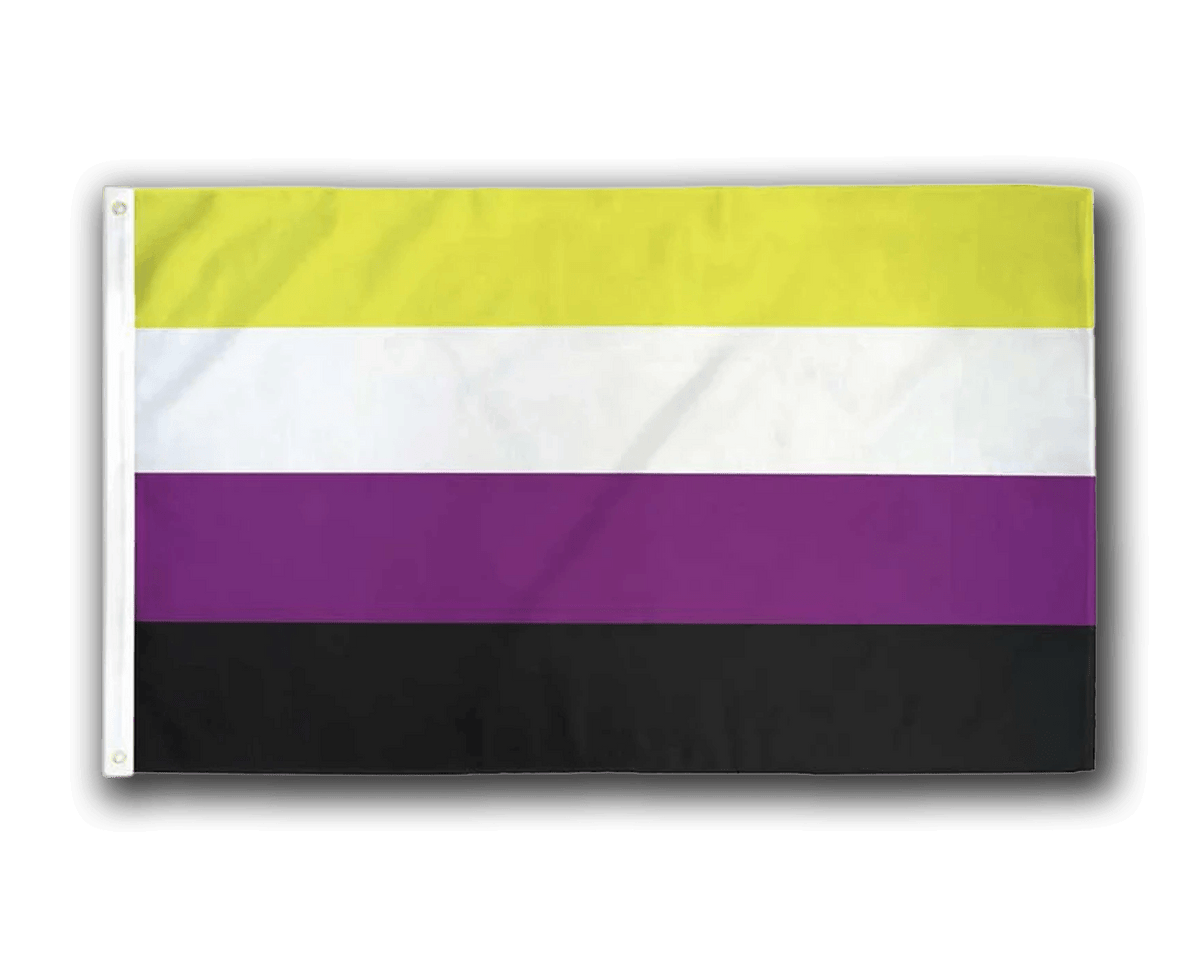 Pride Flags (Case Pack x4)